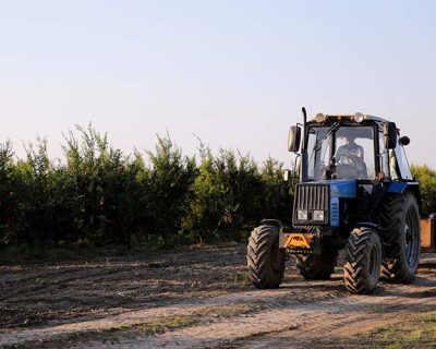 Governo libera R$179 milhões para seguro rural em maio
