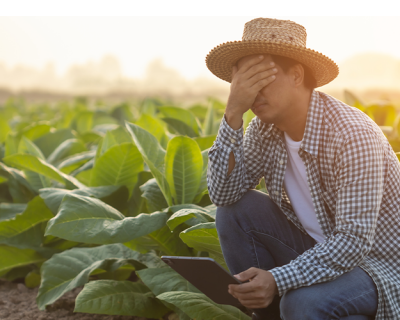 Seguro rural 2025: quem tem direito à subvenção?